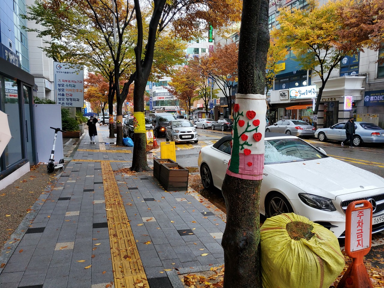 9일 오후 수원시 영통로 214번길 특화거리 가로수들이 털실로 만든 형형색색의 겨울옷을 입고 있다. (사진=권영복 기자)