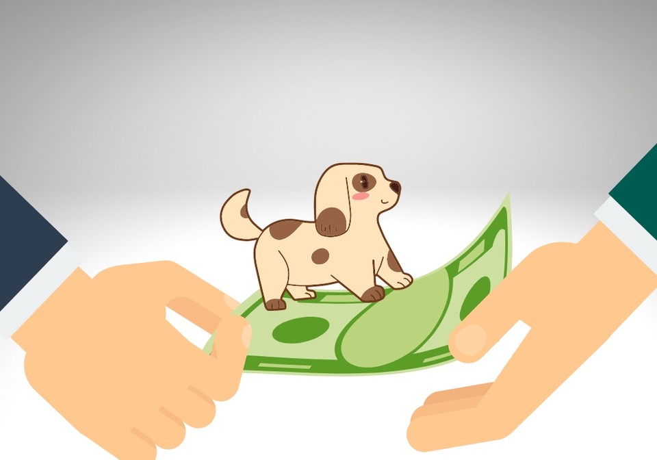(CG=중앙신문)