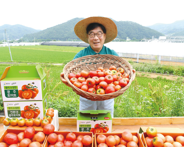 광주시 대표 작목 ‘토마토 명품화’. (사진제공=광주시청)