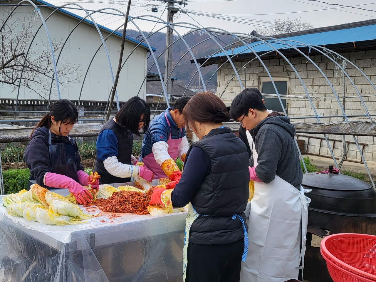 28일 오후 안성시 일죽면 한 가정집에서 김장을 하고 있다. 29일 월요일인 오늘 경기·인천지역은 대기 정체로 인해 미세먼지 농도가 짙겠고, 대체로 흐리겠다. (사진=김종대 기자)