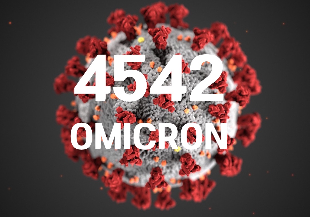 중앙방역대책본부는 14일 0시 기준, 국내 발생 신규 확진자는 4133명, 해외유입 사례 409명 포함 4542명이 확인돼 지금까지 총 누적 확진자 수는 68만 3566명이라고 밝혔다. (CG=중앙신문)