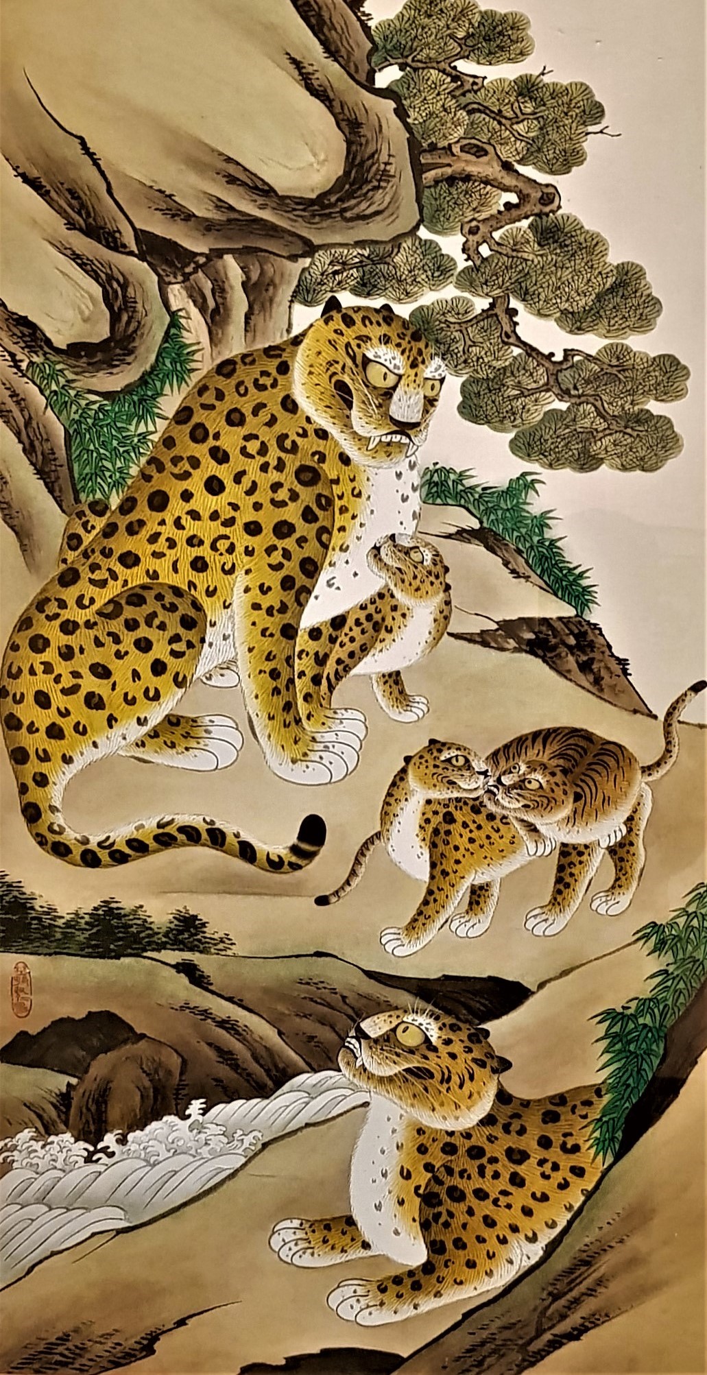 호족도