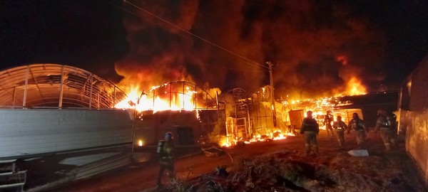 19일 오전 5시38분께 고양시 덕양구 선유동의 비닐하우스에서 불이 났다. (사진제공=경기도재난본부)
