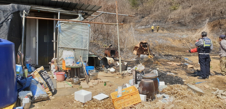 (사진=산림청)