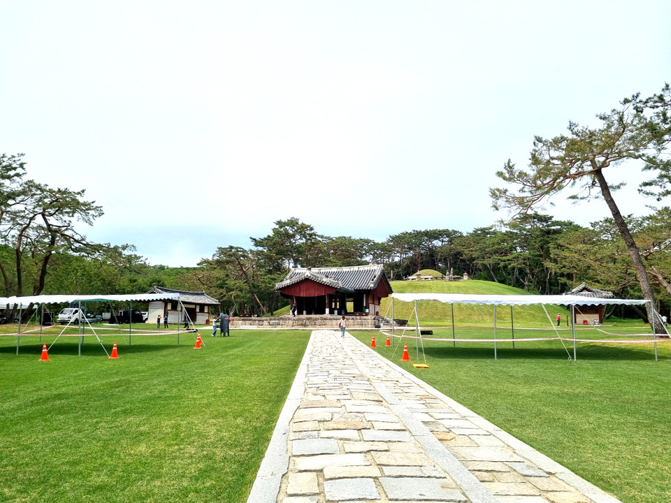 세종대왕의 탄신 625돌 하루 전인 14일 오후 2시께 영주 영릉(英陵, 세종과 소헌왕후) 정자각 일원이 숭모제전 준비로 분주한 모습이다. (사진=김광섭 기자)