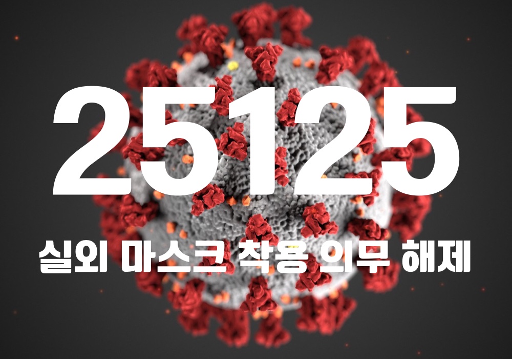 중앙방역대책본부는 20일 0시 기준, 국내 발생 신규 확진자는 2만5103명, 해외유입 사례 22명 포함 2만5125명이 확인돼 지금까지 총 누적 확진자 수는 1791만4957명이라고 밝혔다. (CG=중앙신문)