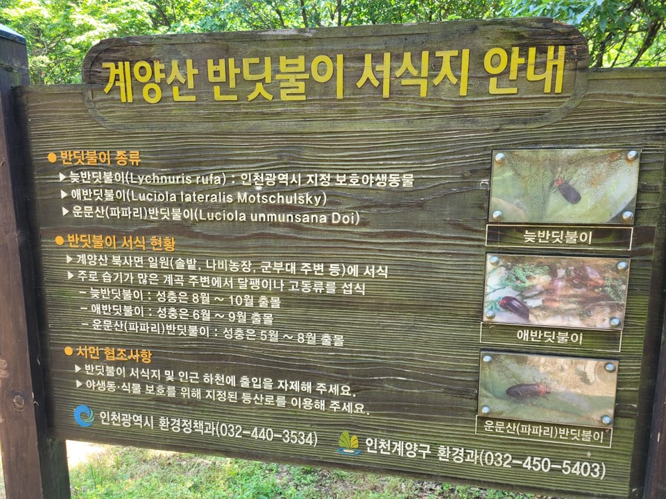 반딧불이 안내 표시판. (사진=이복수 기자)