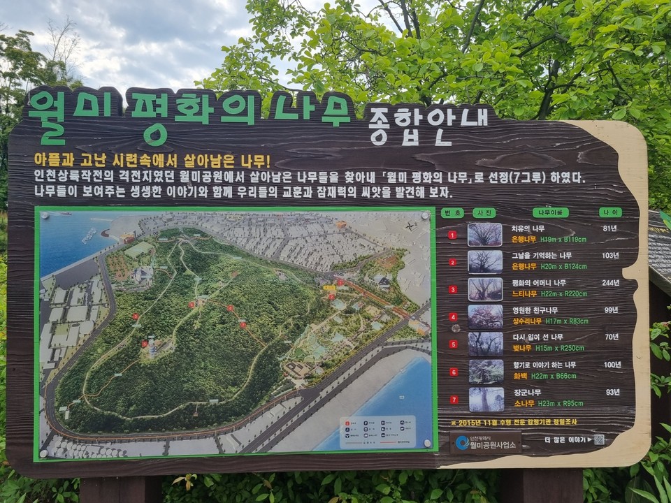 '월미 평화의 나무' 안내도. (사진=남용우 기자)