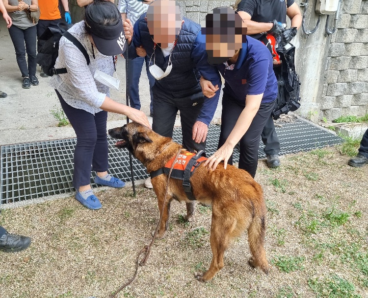 119구조견 ‘전진(7세·수컷)’이 하루 동안 실종상태였던 80내 치매노인을 수색 시작 약 1시간 만에 발견해 무사히 구조했다. 사진은 119구조견 전진에게 고마움을 표시하고 있는 치매노인과 가족들. (사진제공=경기도북부소방재난본부)