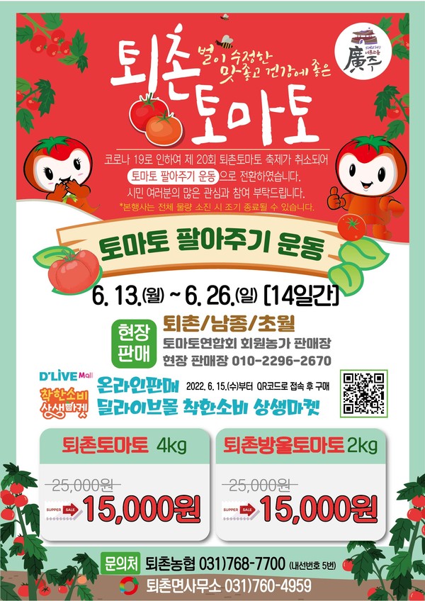광주시 퇴촌면은 지역 특산물 축제인 ‘퇴촌 토마토 축제’ 대신 ‘토마토 팔아주기 운동’을 오는 13일부터 26일까지 추진한다. (사진제공=광주시청)