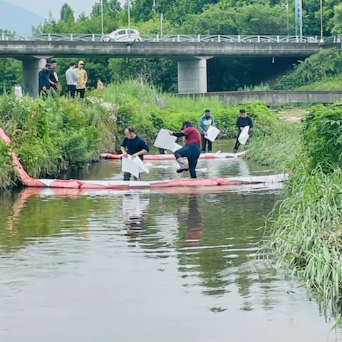 18일 오전 7시에 포천시 포천천 일원에서 길이 30㎝ 이상의 큰 물고기가 죽었다는 신고가 접수돼 시 담당공무원들이 죽은 물고기를 수거하고 있다. (사진=김성운 기자)