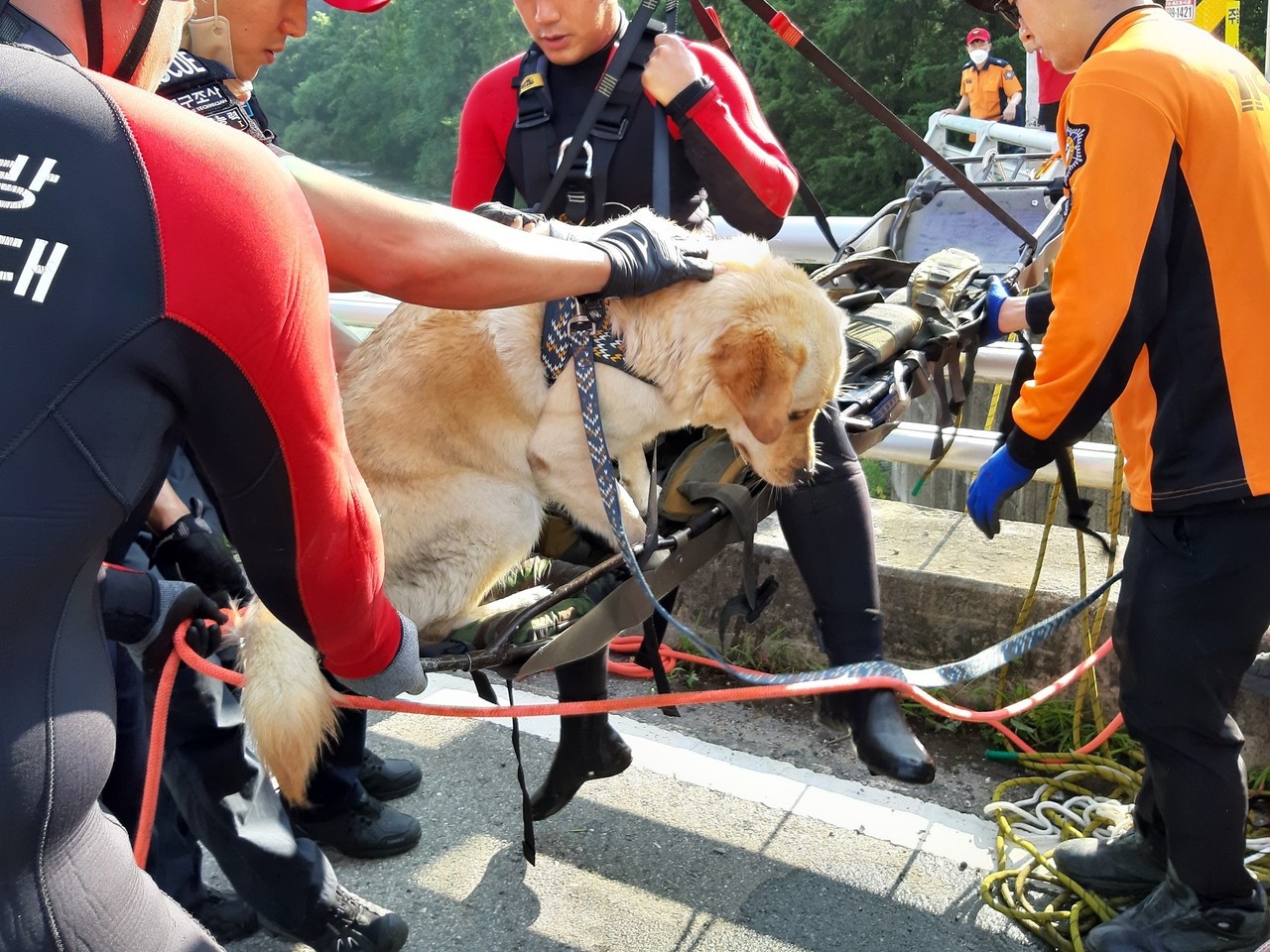 물에 빠진 반려견을 구하려다가 함께 빠져 급류에 휩쓸린 40대 남성을 119시민수상구조대가 무사히 구조했다. (사진제공=양평소방서)