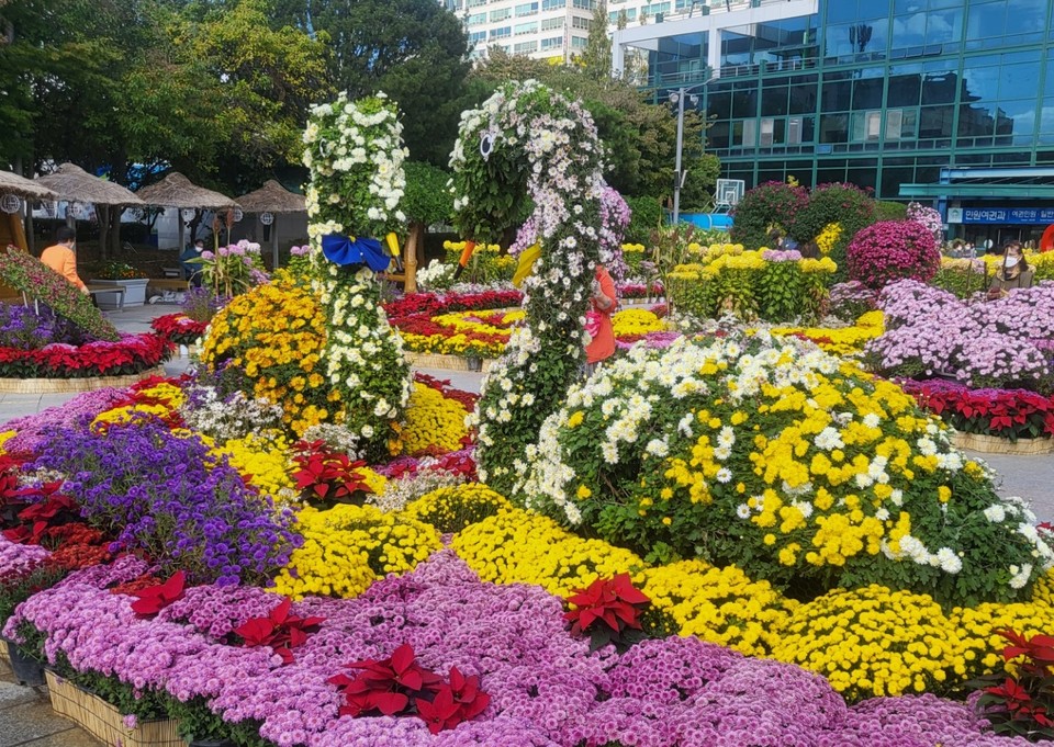 10일 오전 11시께 인천 계양구청 앞 광장에서 열리고 있는 국화전에 꽃 항기를 가득 품은 오리 한쌍이 눈길을 끌고 있다. (사진=이복수 기자)
