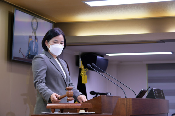 양평군의회는 17일 제289회 임시회 제1차 본회의를 열어 오는 25일까지 9일간의 일정에 돌입했다. (사진제공=양평군의회)