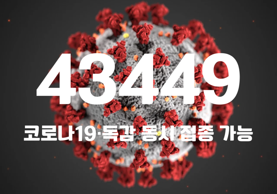 중앙방역대책본부는 4일 0시 기준, 국내 발생 신규 확진자는 4만3400명, 해외유입 사례 49명 포함 4만3449명이 확인돼 지금까지 총 누적 확진자 수는 2571만701명이라고 밝혔다. (CG=중앙신문)