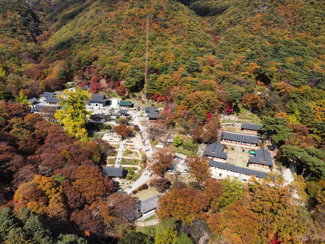 양평 용문산의 단풍이 절정을 이루고 있다. 5일 토요일인 오늘 경기·인천지역은 북서쪽에서 남하하는 찬 공기의 영향으로 춥겠고, 대체로 맑겠다. (사진=김광섭 기자)
