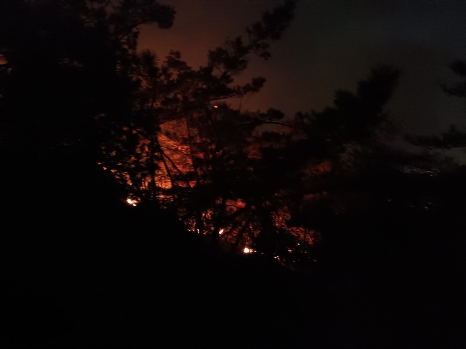 지난 8일 오후 5시21분께 과천시 관문동 산23 일원에서 발생한 산불은 약 3시간 만에 인명피해 없이 진화됐다. (사진제공=산림청)