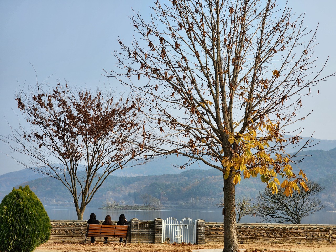 양평 두물머리가 겨울빛으로 물들어가고 있다. 14일 월요일인 오늘 경기·인천지역은 대체로 흐리고, 아침부터 낮 사이에 경기북부지역에는 1㎜ 내외 비가 내리겠고, 그 밖의 지역에는 빗방울이 떨어지겠다. (사진=장은기 기자)