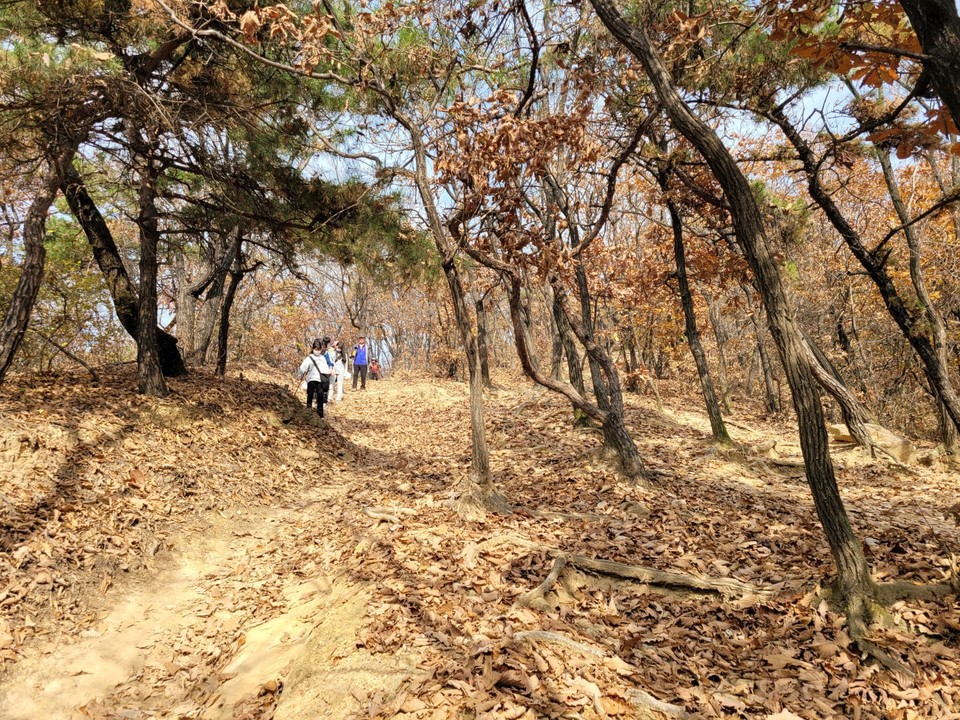 산 입구와 철마산 약수터를 지나, 본격적인 산행길이 시작됐지만, 밟히는 낙엽이 너무 미끄러워 조심스럽게 발걸음을 옮겨야 했다. (사진=이복수 기자)