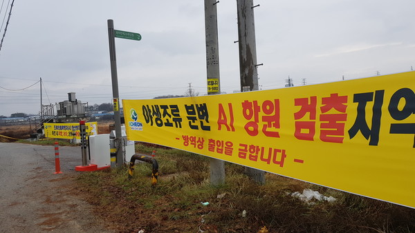 이천 복하천 야생조류에서 H5N8형 고병원성 조류인플루엔자(AI)가 지난 14일 확진에 이어 19일 추가 확진됐다. (사진=송석원 기자)