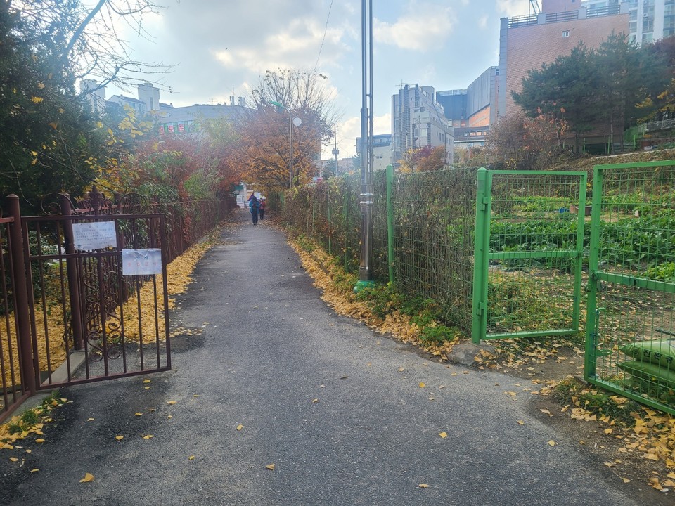 용인시가 도로 개설을 추진하고 있는 구성초등학교 자연학습장. 주민들은 이곳에 도로가 생기면 구성초는 4면이 도로로 둘러싸이게 된다며 절대 불가의 입장을 고수하고 있다. (사진=안직수 기자)