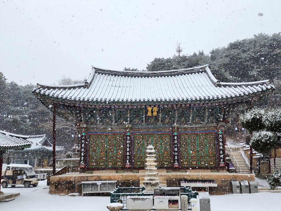 6일 오전 10시40분께 고즈넉함이 깃든 천년고찰 신륵사 대웅전에 함박눈이 내리고 있다. (사진=김광섭 기자)