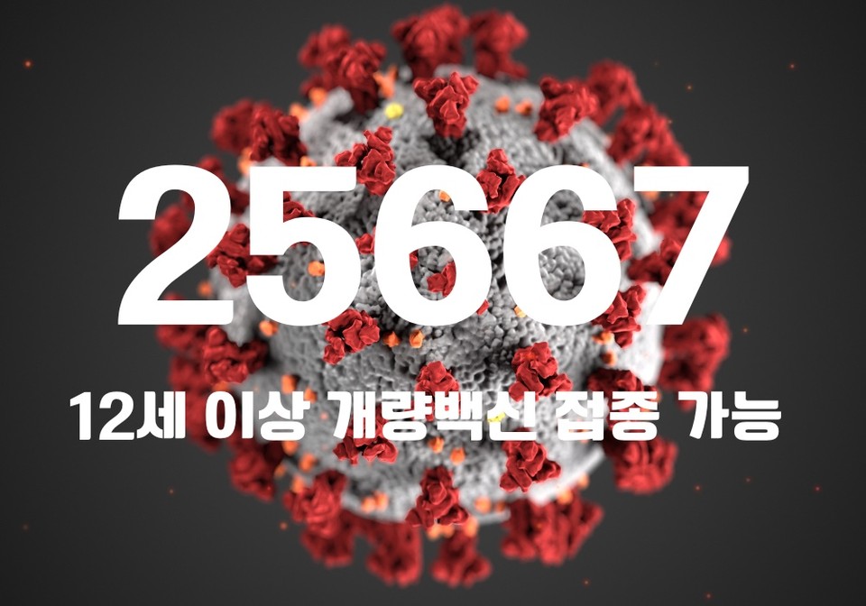 중앙방역대책본부는 12일 0시 기준, 국내 발생 신규 확진자는 2만5604명, 해외유입 사례 63명 포함 2만5667명이 확인돼 지금까지 총 누적 확진자 수는 2775만4149명이라고 밝혔다. (CG=중앙신문)