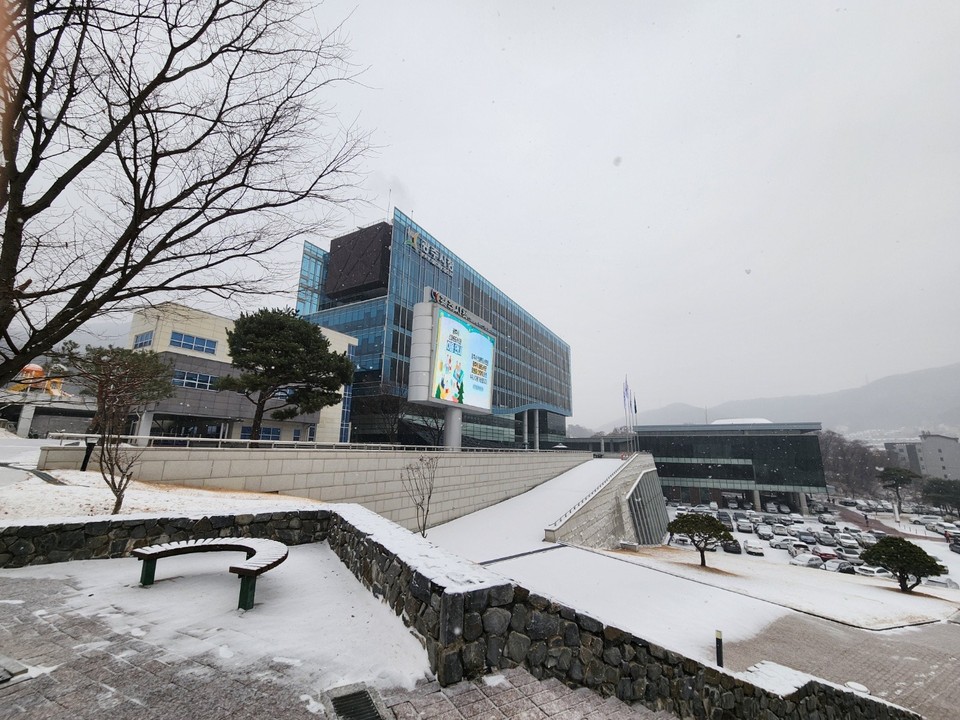 15일 오후 2시께 광주시에 많은 눈이 내리고 있다. 사진은 광주시청사 앞. (사진=장은기 기자)