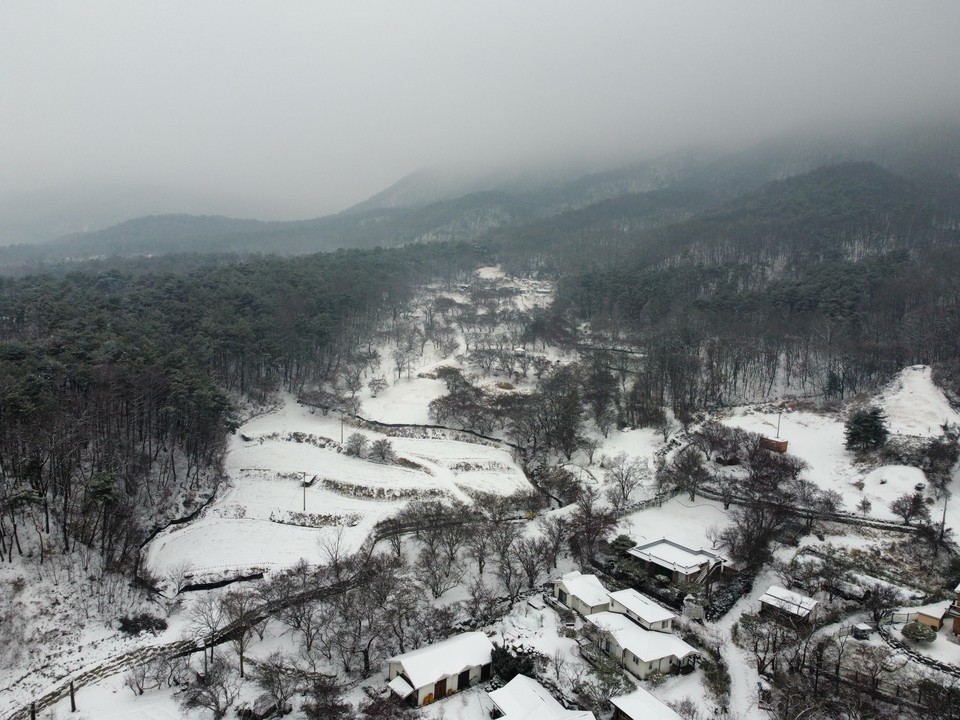 산수유나무 군락지로 매년 4월께면 노란색 작은 꽃망울들이 아름다움을 선사하는 이천 백사 ‘산수유마을’이 21일과 며칠 전 내린 눈으로 온통 하얀 세상으로 변했다. (사진=김광섭 기자)