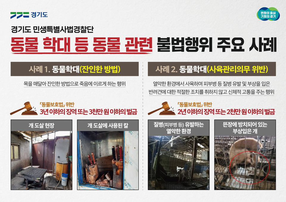 잔인한 방법으로 개를 도살하거나 무허가업체에서 반려동물을 번식시켜 허가업체 명의로 경매장에 판매하는 등 동물 관련 불법행위를 한 업자 등이 경기도 특별사법경찰단에 적발됐다. 특사경은 지난 2월부터 12월까지 약 10개월간 도내 개 사육시설과 반려동물 관련 영업을 하는 시설 243개소를 대상으로 동물보호법 등을 위반한 11개소(11건)를 적발했다. 사진은 불법 적발 사례. (사진제공=경기도청)