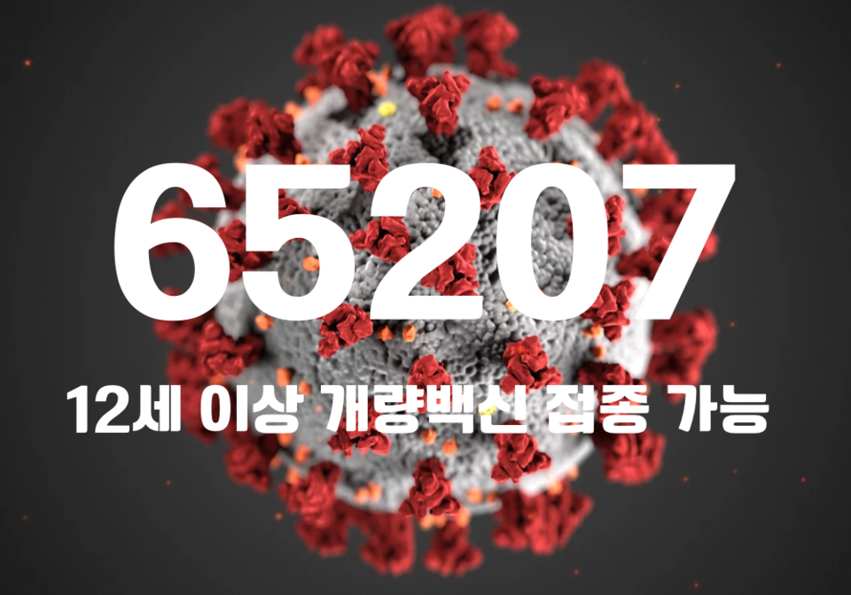 중앙방역대책본부는 30일 0시 기준, 국내 발생 신규 확진자는 6만5139명, 해외유입 사례 68명 포함 6만5207명이 확인돼 지금까지 총 누적 확진자 수는 2899만6347명이라고 밝혔다. (CG=중앙신문)