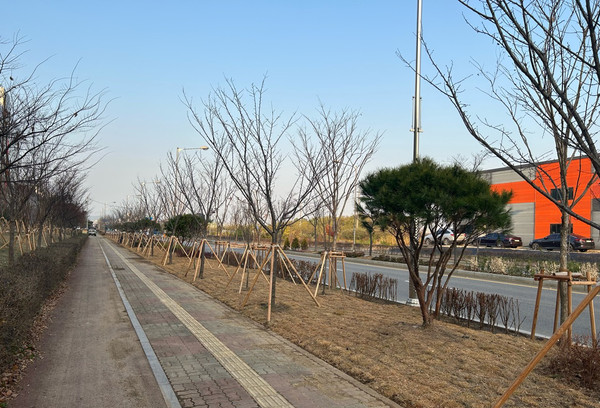수원시가 수원델타플렉스 주변에 미세먼지 차단숲을 조성하는 ‘수원델타플렉스 그린인프라 구축’ 2단계 사업을 완료했다고 시는 밝혔다. (사진제공=수원시청)