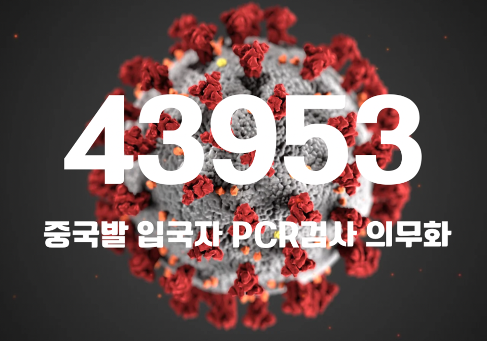 중앙방역대책본부는 12일 0시 기준, 국내 발생 신규 확진자는 4만3818명, 해외유입 사례 135명 포함 4만3953명이 확인돼 지금까지 총 누적 확진자 수는 2969만8043명이라고 밝혔다. (CG=중앙신문)