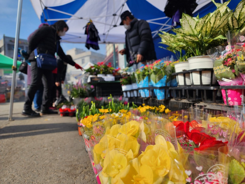 3일 낮 12시10분께 양평오일장에 향기품은 화사한 꽃들이 봄을 알리고 있다. (사진=장은기 기자)