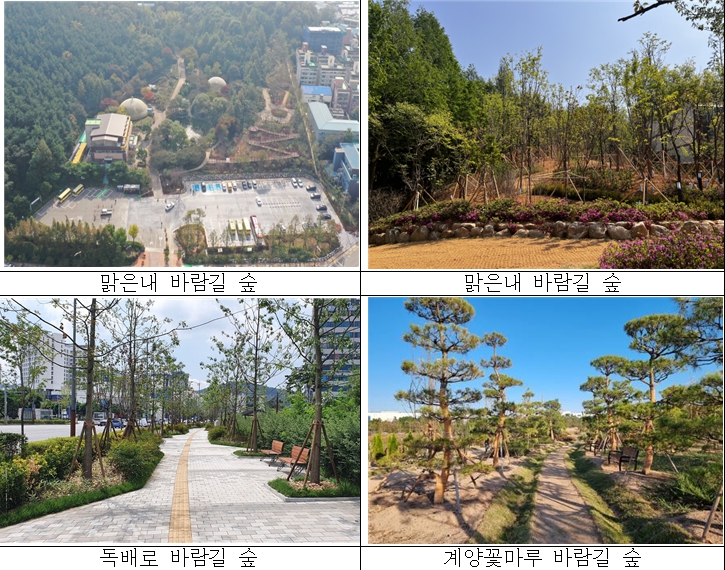 인천도심의 여름철 평균기온이 2.9℃ 낮아지고, 피톤치드와 음이온 방산량도 각각 3.1배, 2배 상승한 것으로 나타났다. 사진은 인천시가 추진한 도시숲 조성사업 현장 전경. (사진제공=인천시청)