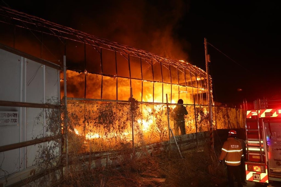 14일 새벽 1시59께 안산시 단원구 선부동의 한 비닐하우스에서 불이 나 비닐하우스와 냉장시설 등을 태우고 소방당국에 의해 약 44분 만에 진화됐다. (사진제공=경기도소방재난본부)
