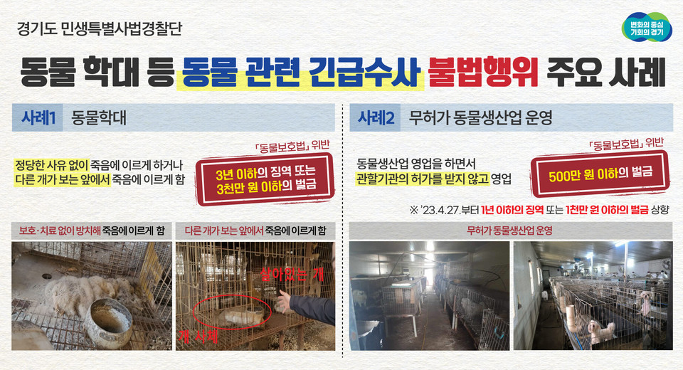 사육하는 개를 마땅한 보호·치료 없이 방치해 죽게 하거나 허가받지 않고 개를 번식시켜 판매하는 등 동물보호법을 위반한 3곳이 경기도특별사법경찰단에 적발됐다. 사진은 불행행위 주요사례. (사진제공=경기도특사경)