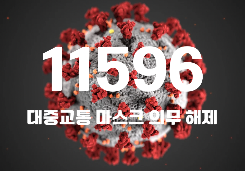 중앙방역대책본부는 13일 0시 기준, 국내 발생 신규 확진자는 1만1581명, 해외유입 사례 15명 포함 1만1596명이 확인돼 지금까지 총 누적 확진자 수는 3095만6026명이라고 밝혔다. (CG=중앙신문)