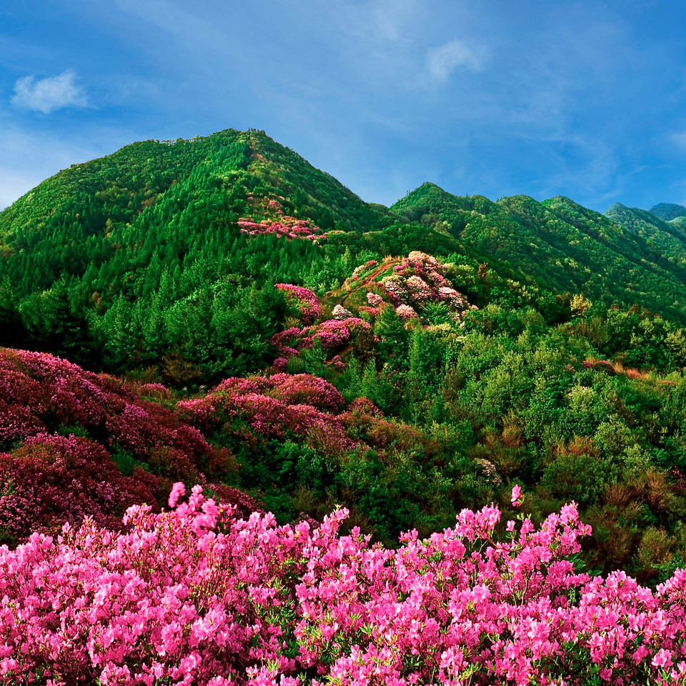 2023 지리산 바래봉. (사진제공=조영수 작가)