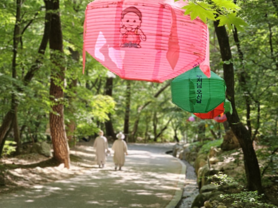 17일 오전 9시55분께 양평 용문사 스님들이 고요한 산사길을 내려가고 있다. (사진=김광섭 기자)