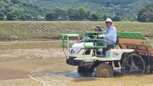 이석범 남양주시 부시장이 본격적인 영농철을 맞아 17일 와부읍에 소재한 고려대학교 부속 농장에서 풍년을 기원하는 모내기 작업에 참여했다. (사진제공=남양주시청)