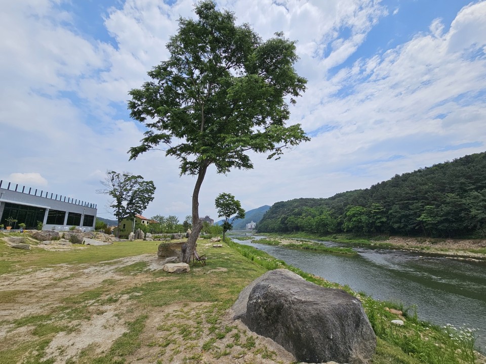 1일 오후 양평군 용문면 흑천 변에 심긴 느티나무가 시원하게 보인다. 2일 금요일인 오늘 경기·인천지역은 구름 많은 날씨를 보이겠다. 경기북부엔 오전 6시부터 9시까지 곳에 따라 0.1㎜ 미만의 빗방울이 내리는 곳이 있겠다. 또 오후 3시부터 6시까지는 경기동부에 소나기 소식이 있겠다. 소나기에 의한 예상 강수량은 5㎜내외이겠다. (사진=장은기 기자)