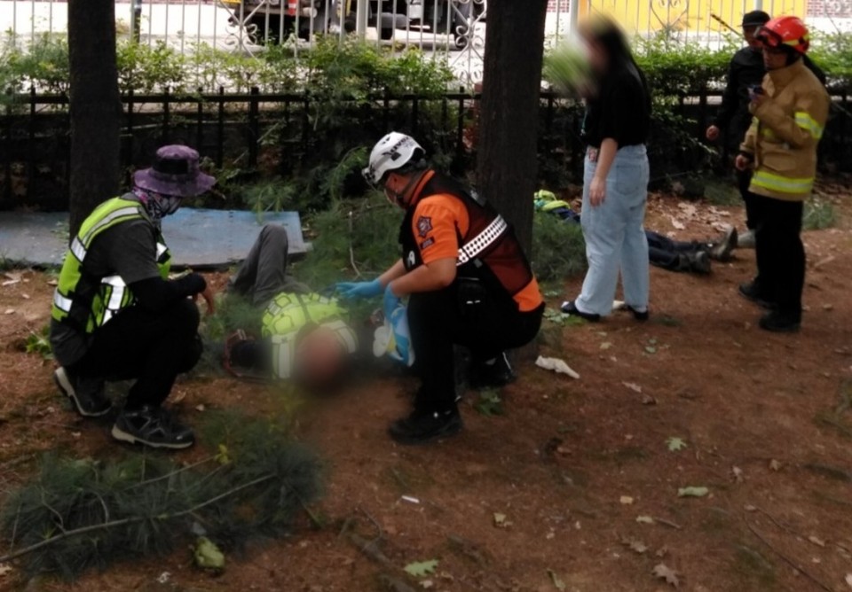 8일 오전 9시8분께 평택시 세교동에서 가로수 전지작업을 벌이던 작업자 2명이 고압선에 감전되는 사고가 났다. (사진제공=경기도소방재난본부)