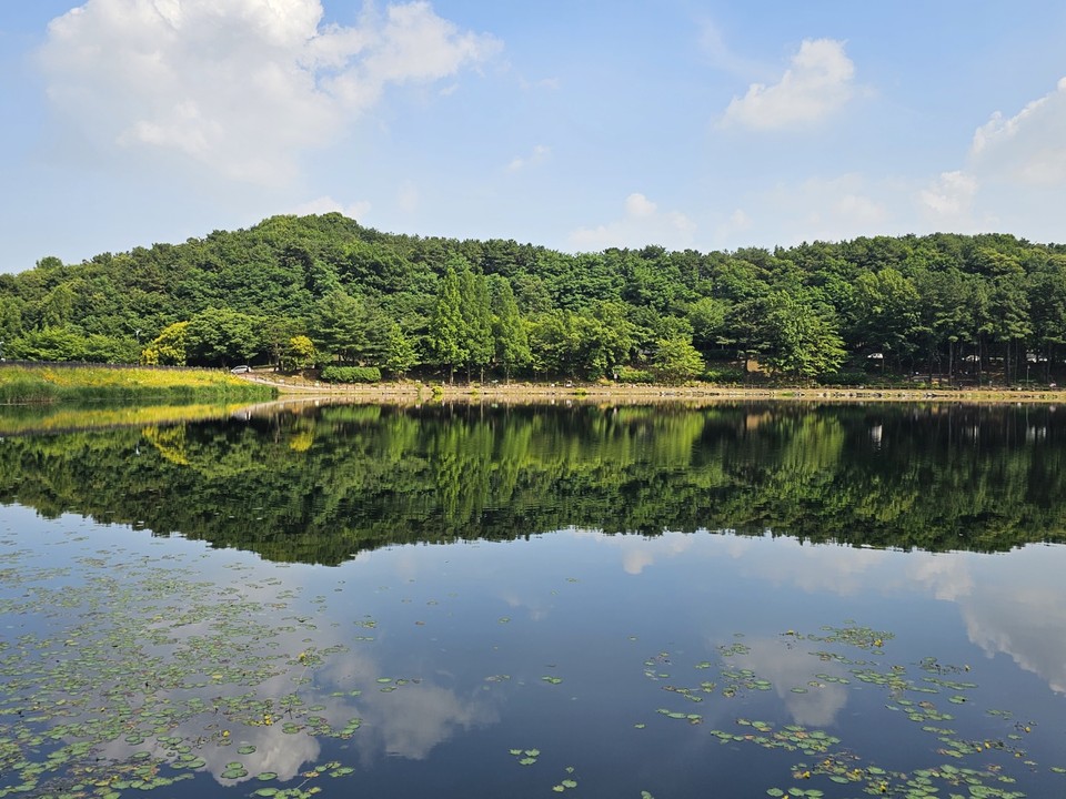24일 토요일인 오늘 경기·인천지역은 대체로 맑고 한낮 기온이 32도까지 올라 덥겠다. 오후 경기동부지역엔 구름 많은 곳이 있겠다. 사진은 전날(23일) 오후 3시35분께 이천 설봉호수 풍경. (사진=송석원 기자)