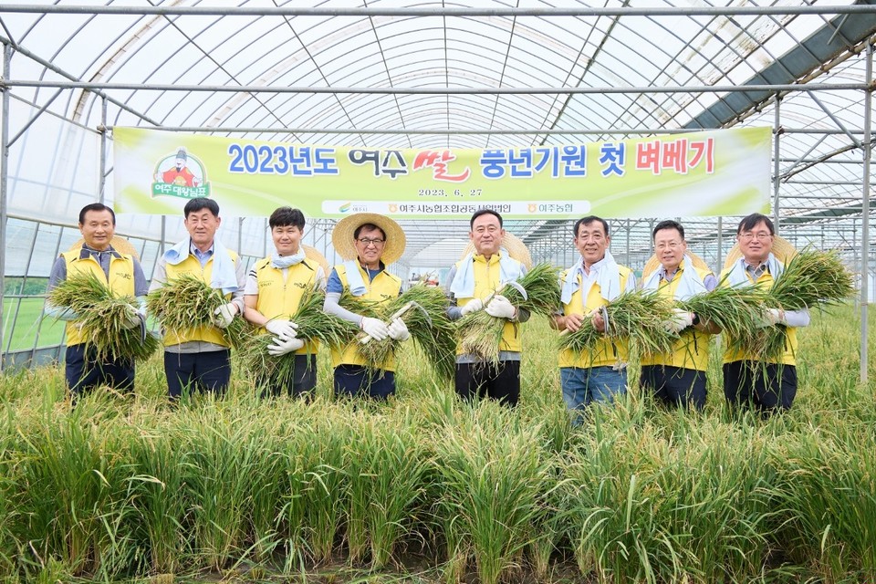 ‘대왕님표 여주쌀, 첫 벼 베기’ 행사에 참석한 이충우 여주시장과 여주지역 농협장들이 수확의 기쁨을 만끽하고 있다. (사진=이충우 여주시장 SNS)