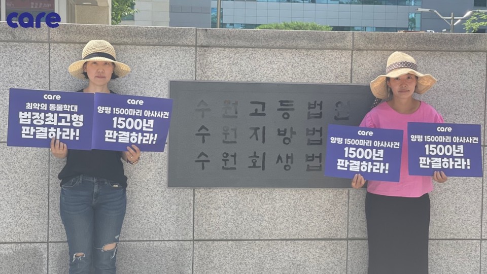 양평의 전원주택에서 개와 고양이 1256마리를 굶어죽게 해 사체를 방치한 혐의로 기소된 60대 남성이 항소심에서도 원심처럼 징역 3년을 선고받았다. 항소심이 열리고 있는 수원지법 앞에서 강력한 처벌을 요구하고 있는 동물단체 회원들. (사진제공=동물권단체 케어)