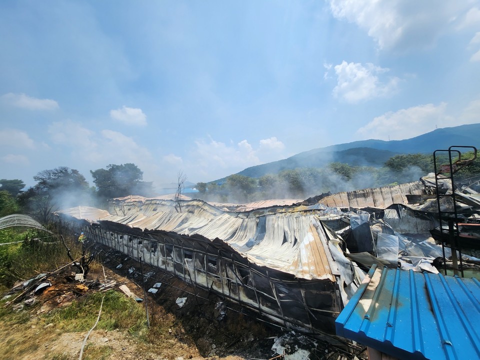 21일 오전 11시4분께 포천시 소흘읍의 한 계사(닭장)에서 불이 나 계사 3동과 각종 설비 등을 태우고, 신고를 받고 출동한 소방당국에 의해 약 34분 만에 진화됐다. 사진은 화재 현장. (사진제공=포천소방서)
