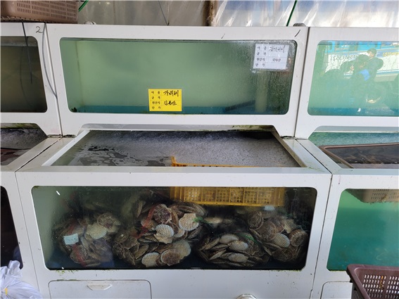 인천시가 최근 일본 후쿠시마 원전 오염수 바다 방류 결정에 따른 시민 안전 먹거리 소비자 불신 해소를 위해 수산물 원산지 표시 특별단속 및 수사에 나선다. (사진제공=인천시 특사경)