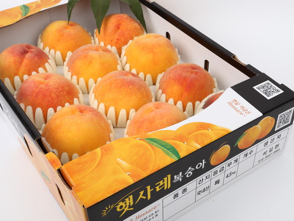 고운 색깔과 부드러운 질감, 풍부한 과즙과 달콤한 향으로 인해 복숭아를 ‘여름 과일의 여왕’이라 한다. 사진은 '햇사레 복숭아'. (사진제공=이천시청)