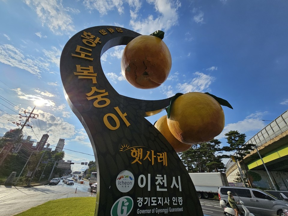 ‘햇사레 장호원 복숭아 축제’가 나흘 앞으로 다가온 18일 오후 4시30분께 이천시 장호원에 설치된 대형 황도복숭아 조형물이 복숭아 고장임을 알리고 있다. (사진=송석원 기자)